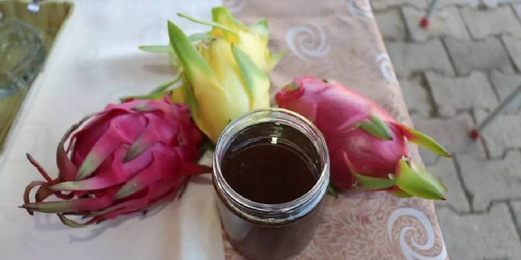 Nektar fazlalığı sorununu avantaja çevirdi! Hem meyvesini hem balını üretiyor: Bulduğu çözüme kendisi bile şaşırıyor 6